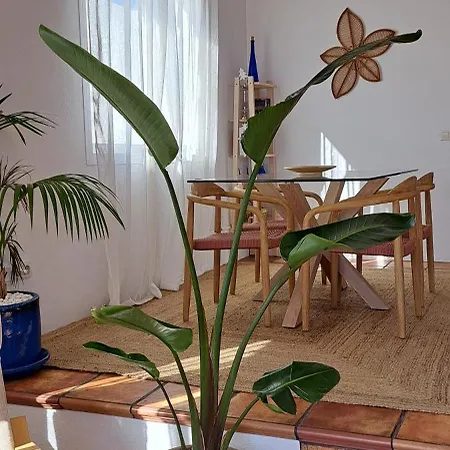 Cocomar I- Luxurious With Pool Near The Sea Guatiza